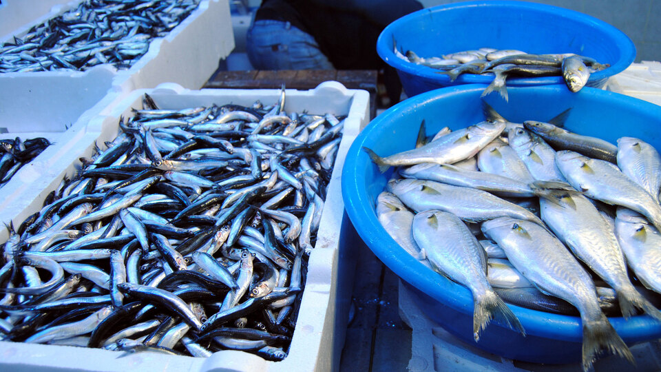 Bir gecede kilosu 2 misli arttı!