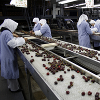 Yeni yılın ilk satın alması... 34 yıllık meyve şirketini satın aldı, işte fiyatı