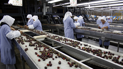 Yeni yılın ilk satın alması... 34 yıllık meyve şirketini satın aldı, işte fiyatı