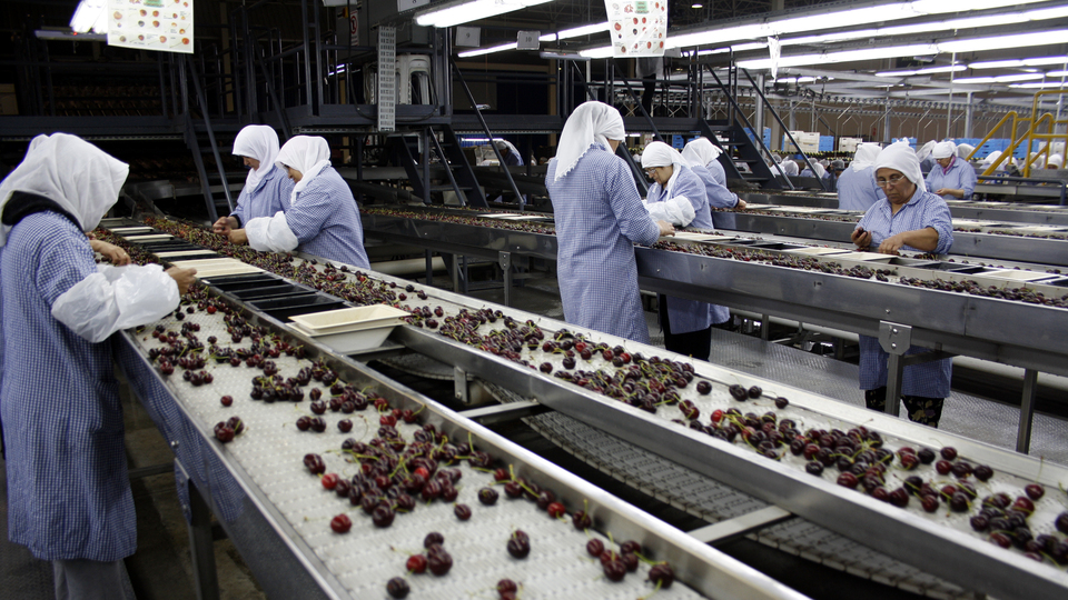 Yeni yılın ilk satın alması... 34 yıllık meyve şirketini satın aldı, işte fiyatı