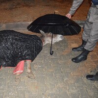 Günün en güzel karesi!