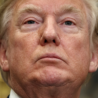 Twitter "Ağaya serbest" dedi!