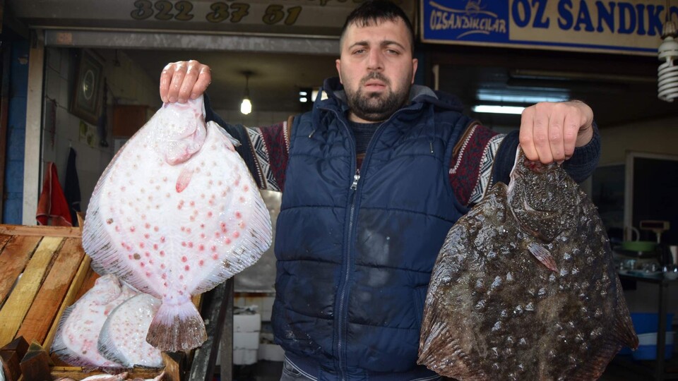 Fiyatını altı ayda ikiye katladı
