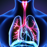 Bilim dünyası o konuda hemfikir! Ama yine de vazgeçemiyoruz!