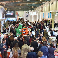 EMITT rekora koşuyor