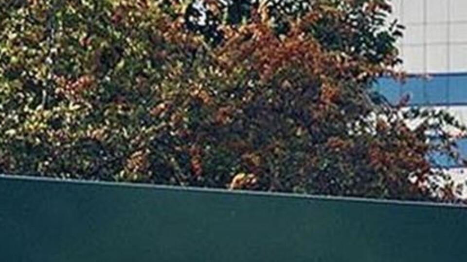 AÖF kayıt yenileme ne zaman?