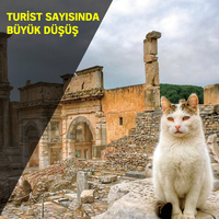 Efes kedilere kaldı!