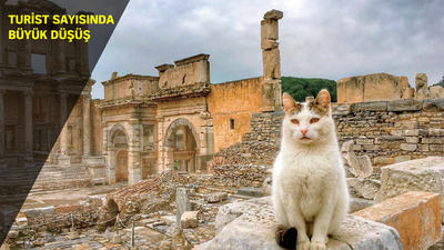 Efes kedilere kaldı!