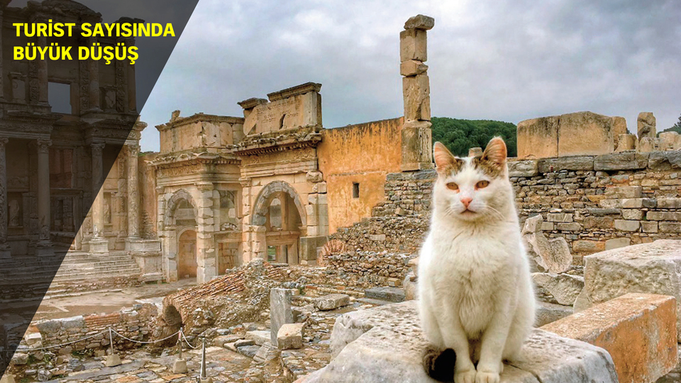 Efes kedilere kaldı!