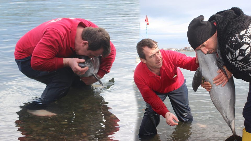 Yunusu kurtarmak için suni teneffüs yaptı!