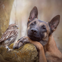 Dünyanın en ilginç dostluğu!