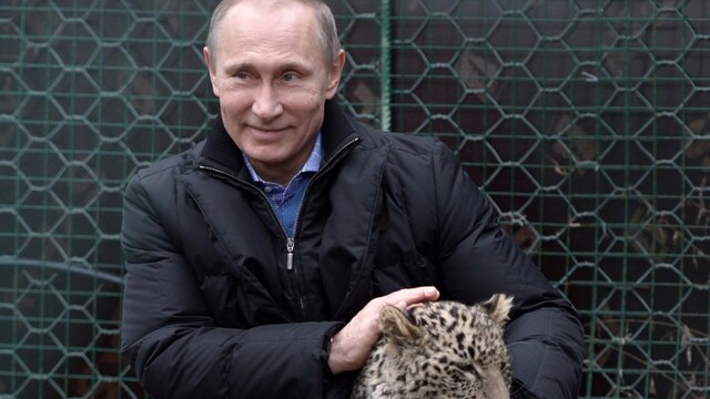 Putin'in leoparı ölü bulundu