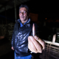 Suriye'den Kilis'e 4 roket atıldı!