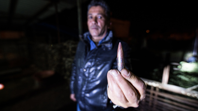 Suriye'den Kilis'e 4 roket atıldı!