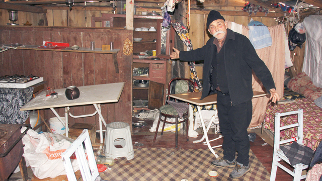 Kış uykusuna yatmayan ayılar 12 evi bastı
