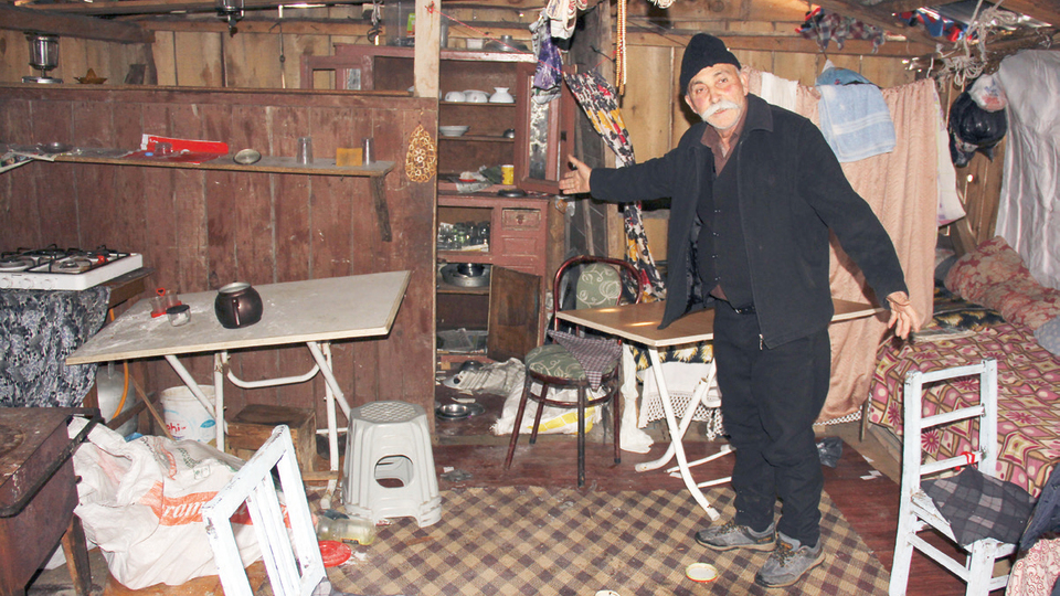 Kış uykusuna yatmayan ayılar 12 evi bastı