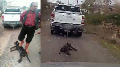 Vicdansız! Tepkiler çığ gibi büyüdü