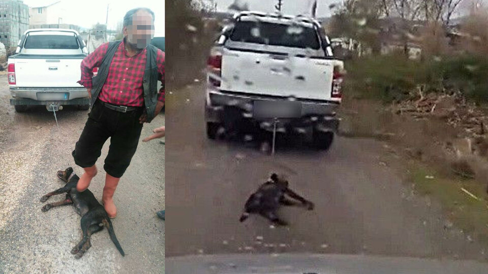 Vicdansız! Tepkiler çığ gibi büyüdü