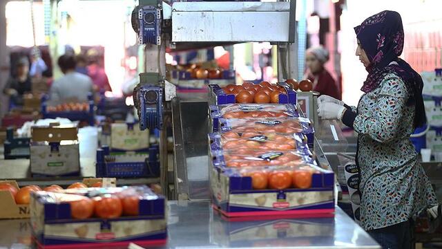 Rusya Türkiye'den domates ithalatını arttırabilir