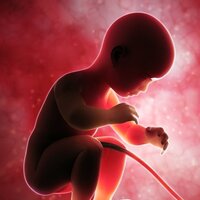 Bebeğin DNA'sı anne kanından tespit ediliyor