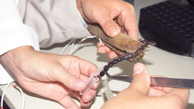 Tıp için 500 akreple yaşıyorlar