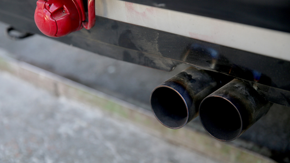 25 genci gazlamışlar