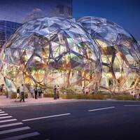 Ünlü milyarder kendi yağmur ormanını kurdu