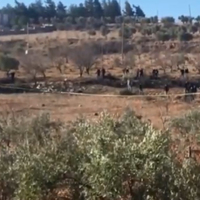 Afrin'den atılan roket Kilis'te 2 katlı inşaata isabet etti