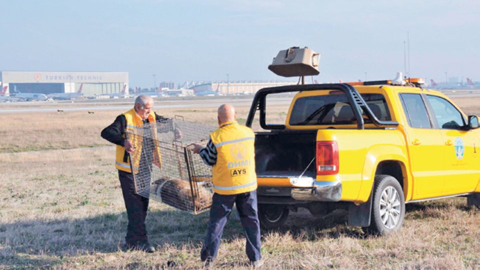 Atatürk Havalimanı'nda onlar için özel tim kuruldu