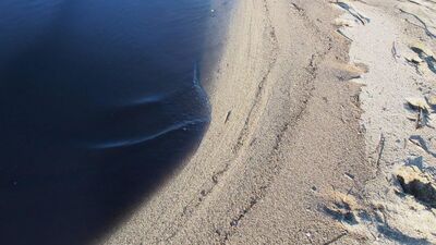 Dünyaca ünlü sahil... Vatandaşlar endişeli