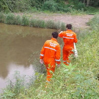Karadeniz'de kırmızı alarm! Ekipler her yeri ilaçlıyor...