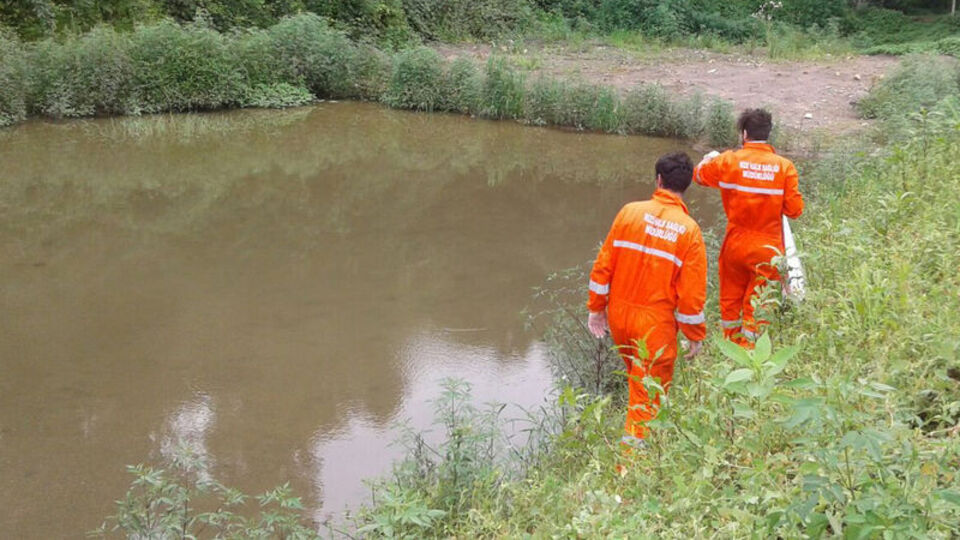 Karadeniz'de kırmızı alarm! Ekipler her yeri ilaçlıyor...