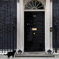 İngiltere, kadrolu kedi Palmerston'dan şikayetçi