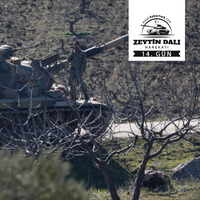 Darmık Dağı teröristlerden temizlendi, Türk Bayrağı dikildi