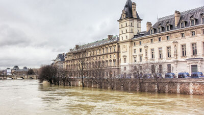 Kedisiz Paris'in kavalcıları