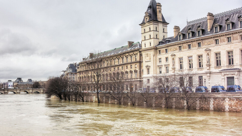 Kedisiz Paris'in kavalcıları