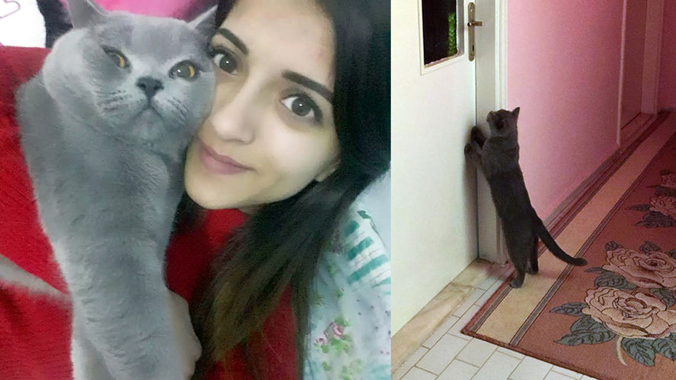 Çok acı! 6 aydır kapısından ayrılmıyor