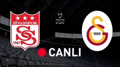 Aslan Sivas'ta ağır yaralı