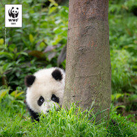 14 Şubat Sevgililer Günü'ne özel 'evlat edinme' kampanyası!