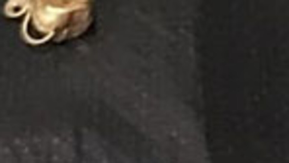 Abhaz köylü mezarlıkta bulduğu hazineyi devlete teslim etti