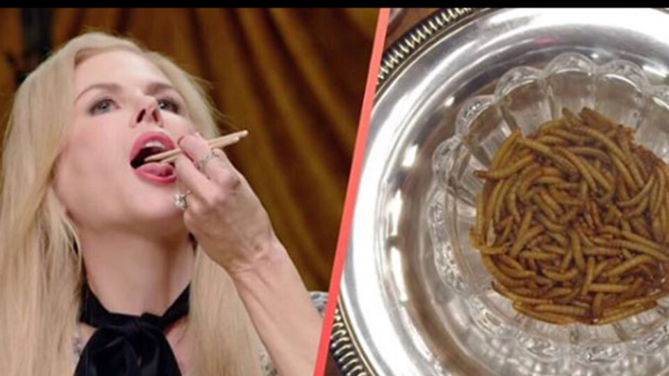 Ünlü oyuncu bir tabak kurtçuk yedi! Tadını soranlara...