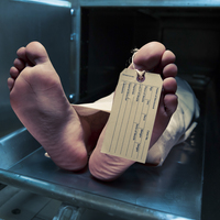 Akıl çelen o paketlerin ardından bu gerçek çıktı! Dünyanın en kanlı savaşında ölen kişi sayısıyla aynı...