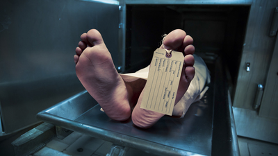 Akıl çelen o paketlerin ardından bu gerçek çıktı! Dünyanın en kanlı savaşında ölen kişi sayısıyla aynı...