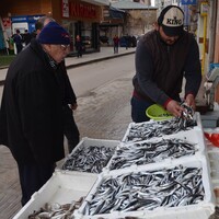 Hamsinin fiyatı sonunda düştü