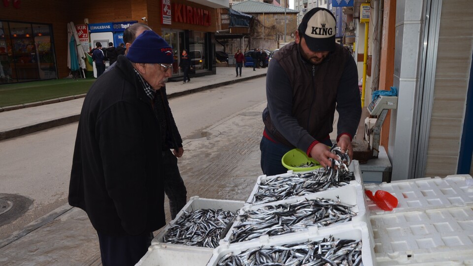 Hamsinin fiyatı sonunda düştü