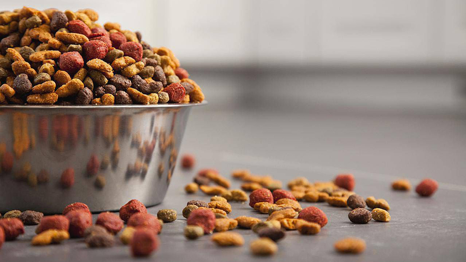 Kedi-köpek maması alırken 'yem' olmuşuz