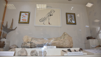 Kars'ta bulundu! Tam 65 milyon yıl öncesine ait