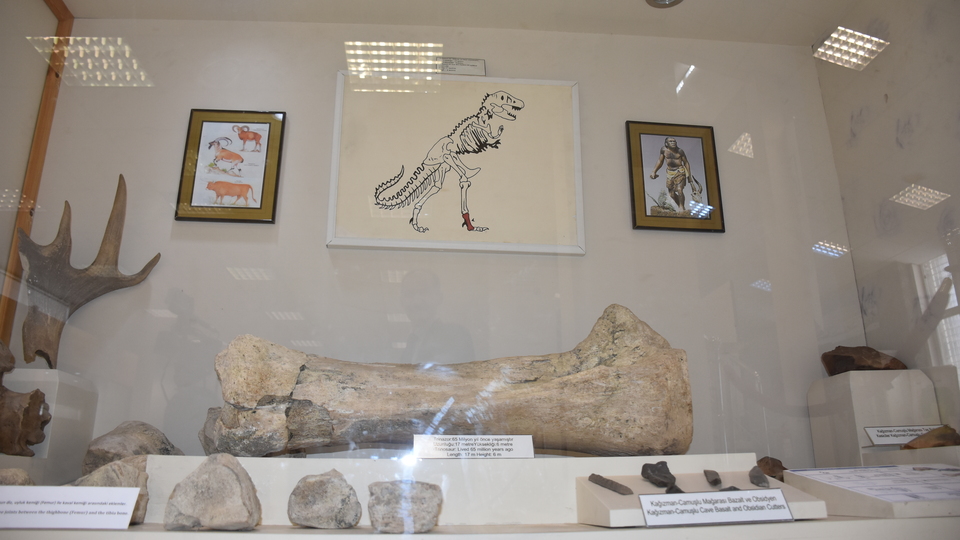 Kars'ta bulundu! Tam 65 milyon yıl öncesine ait