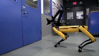 Robotlar sonunda bunu da başardı