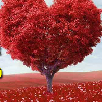 14 Şubat resimli Sevgililer Günü mesajı